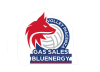 Logo for Bluenergy Daiko Volley PIACENZA